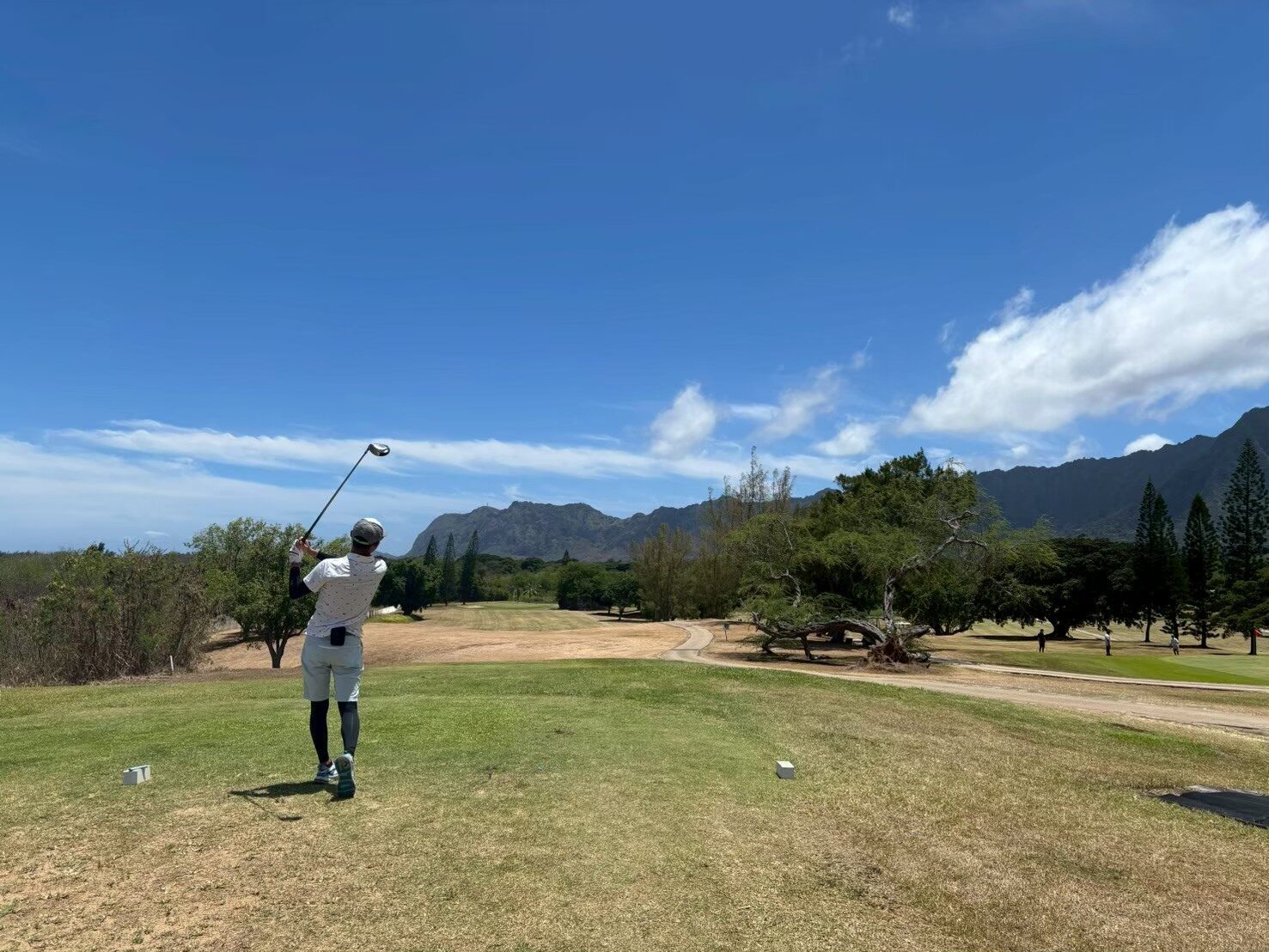 ゴルフコースでプレーする社員