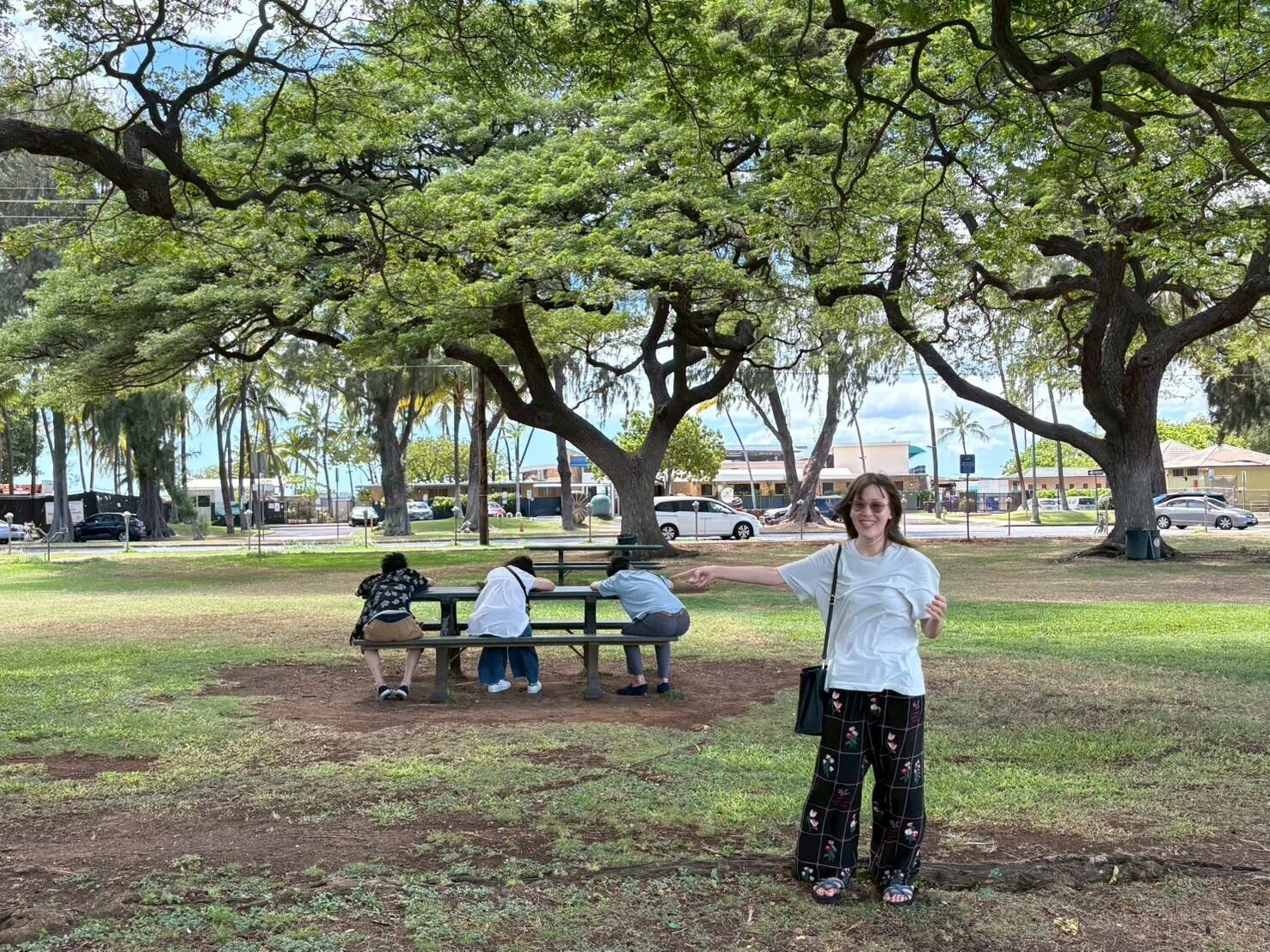 ハワイの公園で過ごす社員